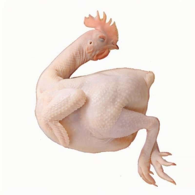 干水文昌鸡