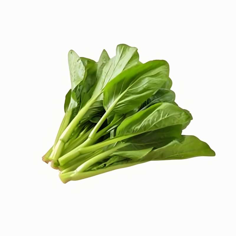 菜心