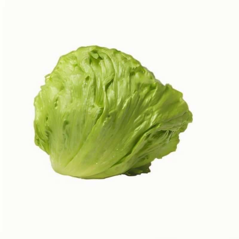 西生菜
