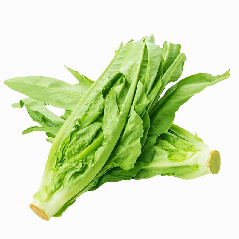 油麦菜