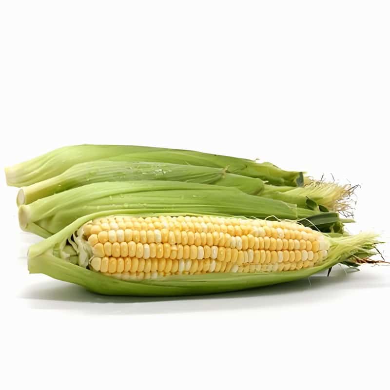 玉米棒