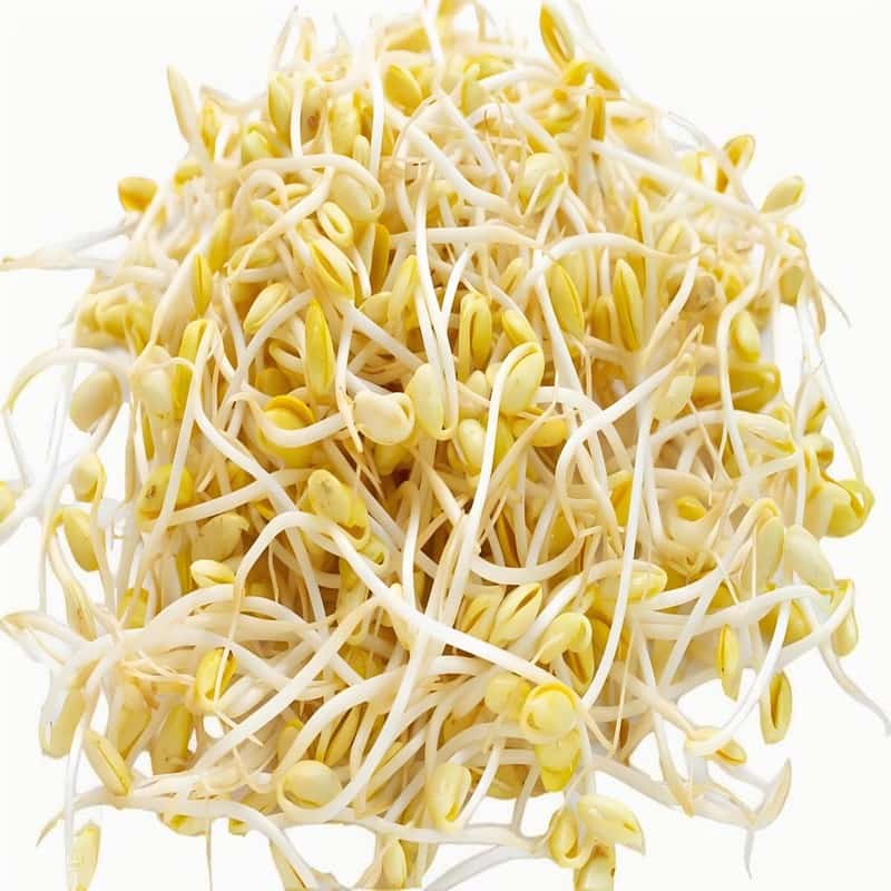 黄豆芽