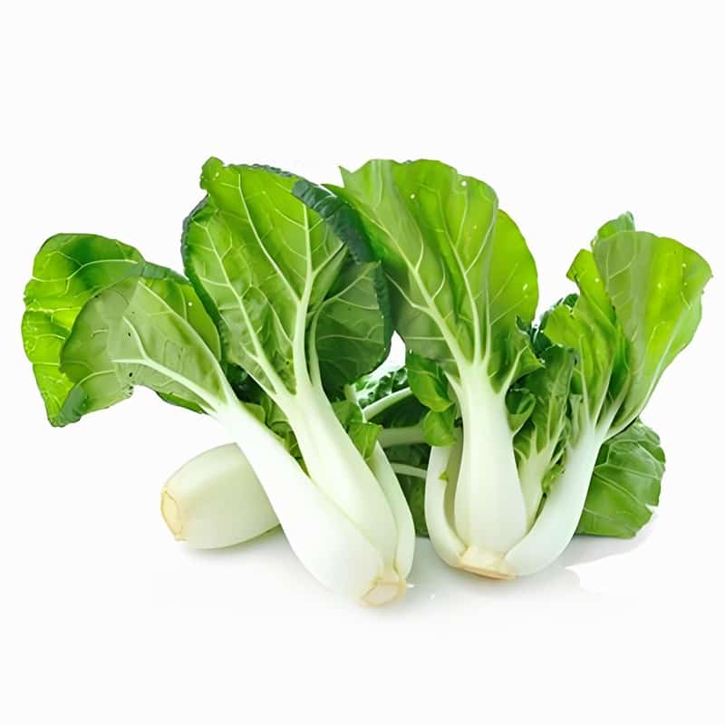 奶白菜